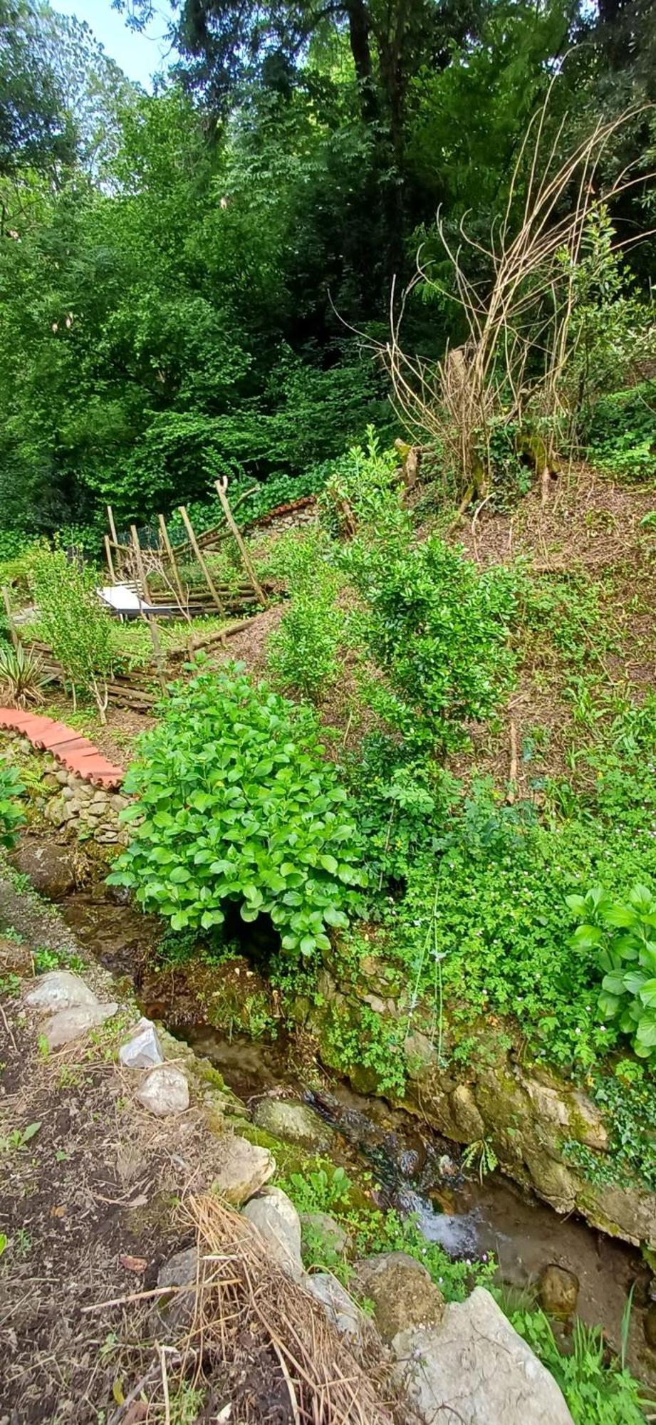 La Casetta Nel Verde Como Eksteriør bilde